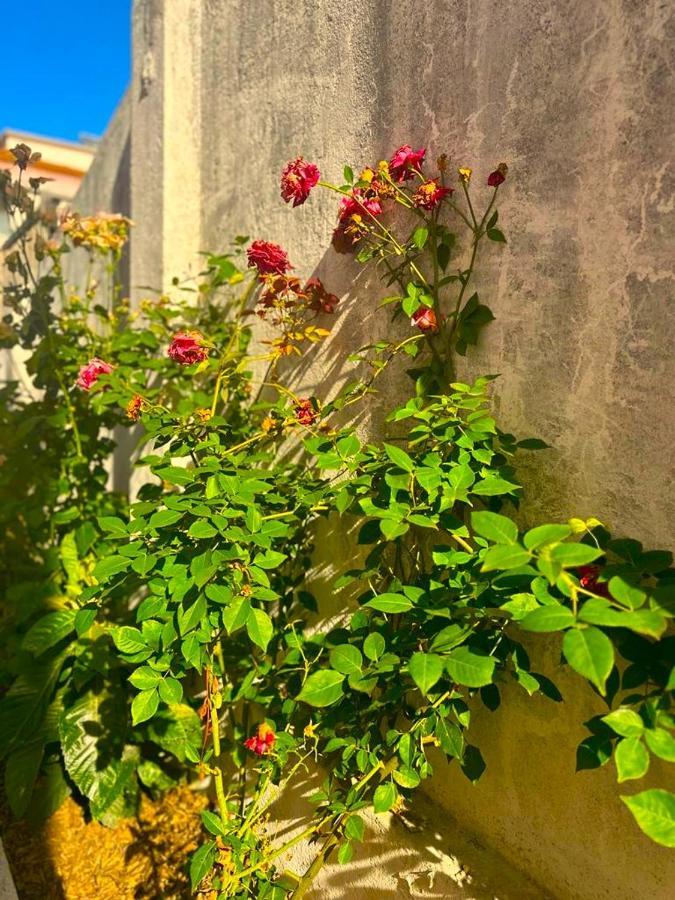 Lisabonna Guest House Amadora Bagian luar foto